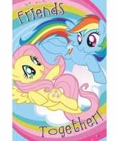 My little pony maxi poster